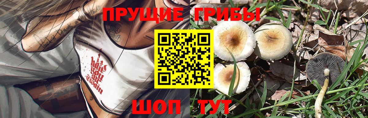 Галлюциногенные грибы Psilocybe  Вход с VPN  Ейск 