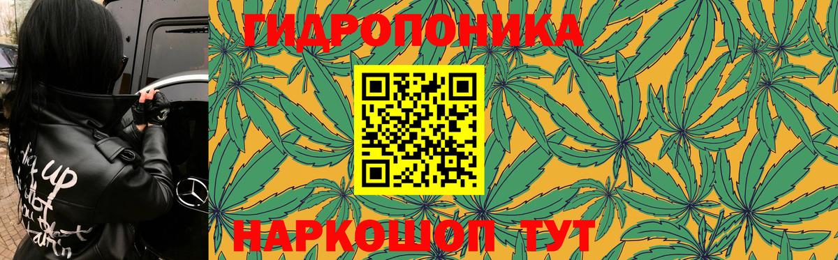 Марихуана OG Kush  МАРИХУАНА планчик  Ейск  Вход с VPN  Каннабис Ganja 